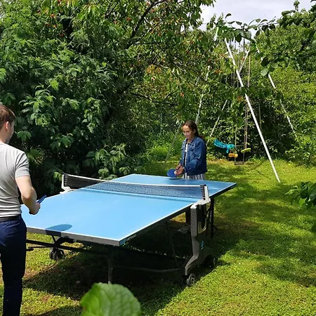 Appt Independant 4 5 Ou 6 Personnes Piscine Direct Gare Ou Aeroport Jardin Piscine * Toulouse