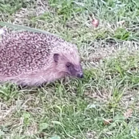 Indépendant. Deux Personnes, Clair Et Sympa. Toulouse