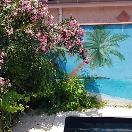 Appt Independant 4 5 Ou 6 Personnes Piscine Direct Gare Ou Aeroport Jardin Piscine *