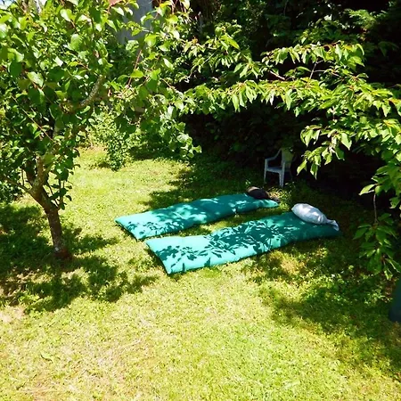 Appt Independant 4 5 Ou 6 Personnes Piscine Direct Gare Ou Aeroport Jardin Piscine * 圖盧茲