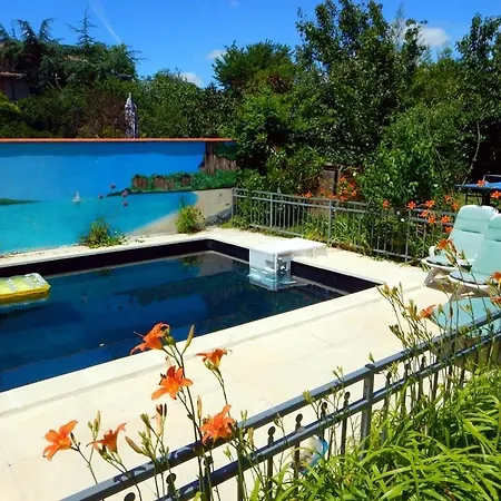 公寓 Appt Independant 4 5 Ou 6 Personnes Piscine Direct Gare Ou Aeroport Jardin Piscine 圖盧茲