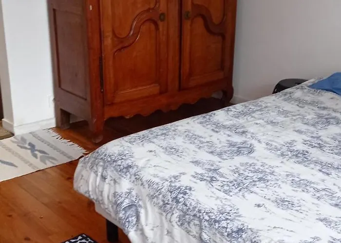 Appt Independant 4 5 Ou 6 Personnes Piscine Direct Gare Ou Aeroport Jardin Piscine * Tolosa