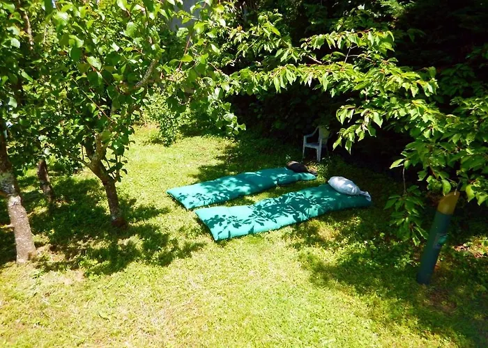 Appt Independant 4 5 Ou 6 Personnes Piscine Direct Gare Ou Aeroport Jardin Piscine * Toulouse